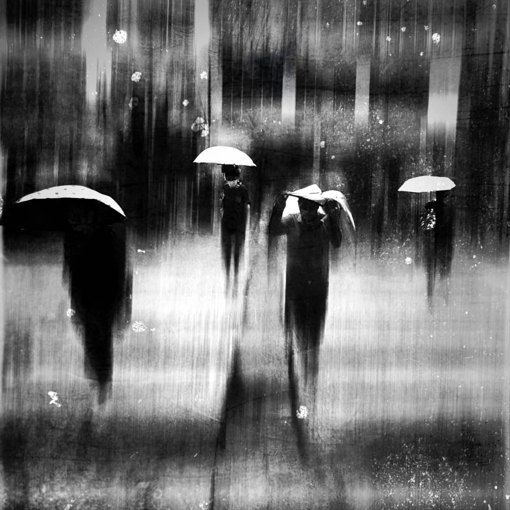 Umbrellas In The Rain by Lammakmak — canvas wall art