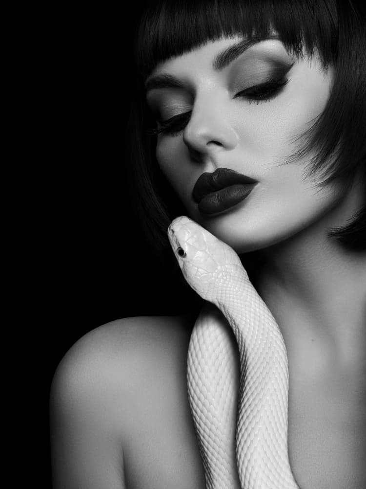 Mysterious Beauty White Snake by David Drake — canvas wall art