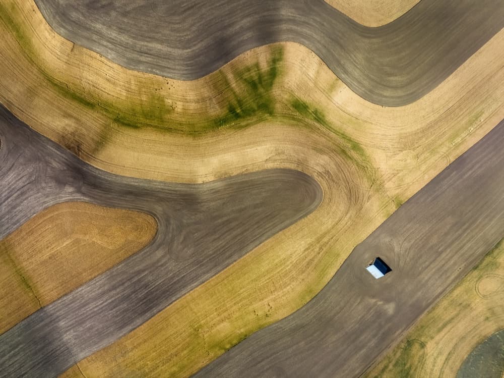 Curved Farm Fields Aerial by Shenshen Dou — canvas wall art