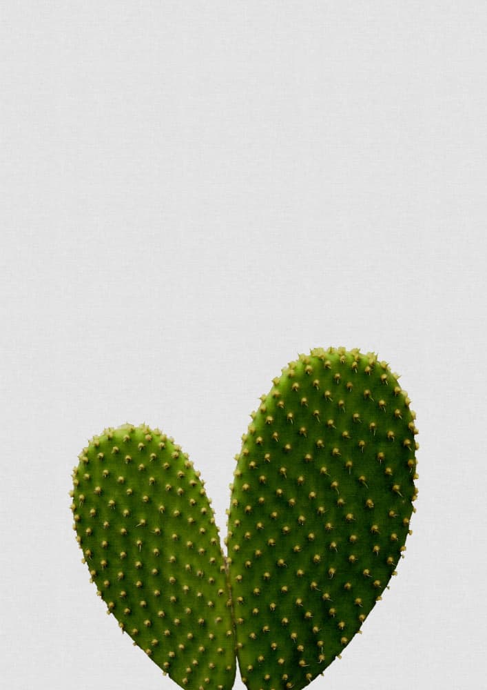 Green Bunny Ears Cactus by Orara Studio — canvas wall art
