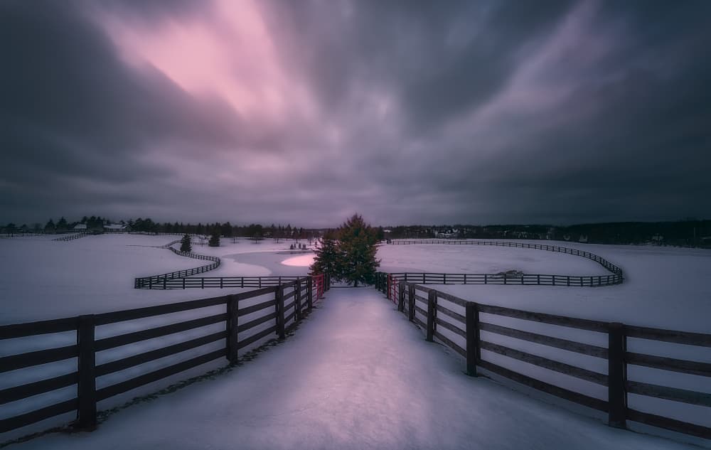 Winter Glow Path by Ben.C.L — canvas wall art