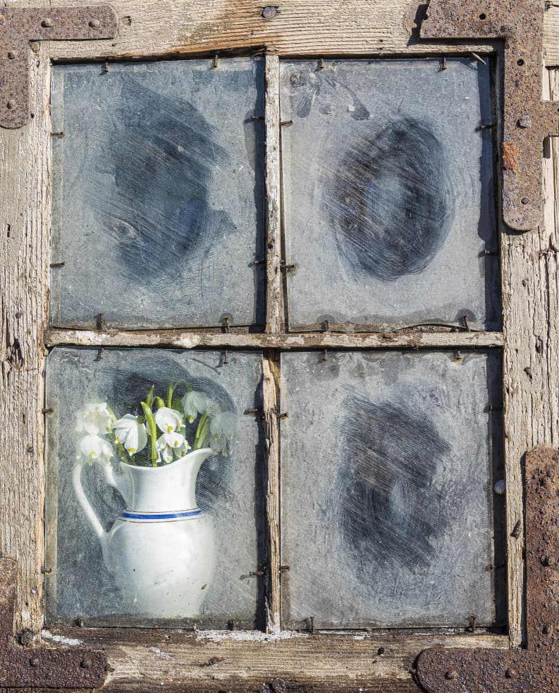 Rustic Window Snowdrops by Normunds Kaprano — canvas wall art