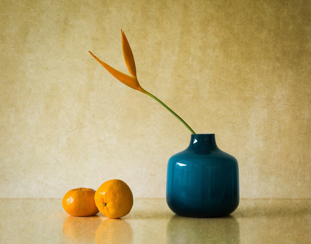 Tropical Bloom and Oranges by Jacqueline Hammer — canvas wall art