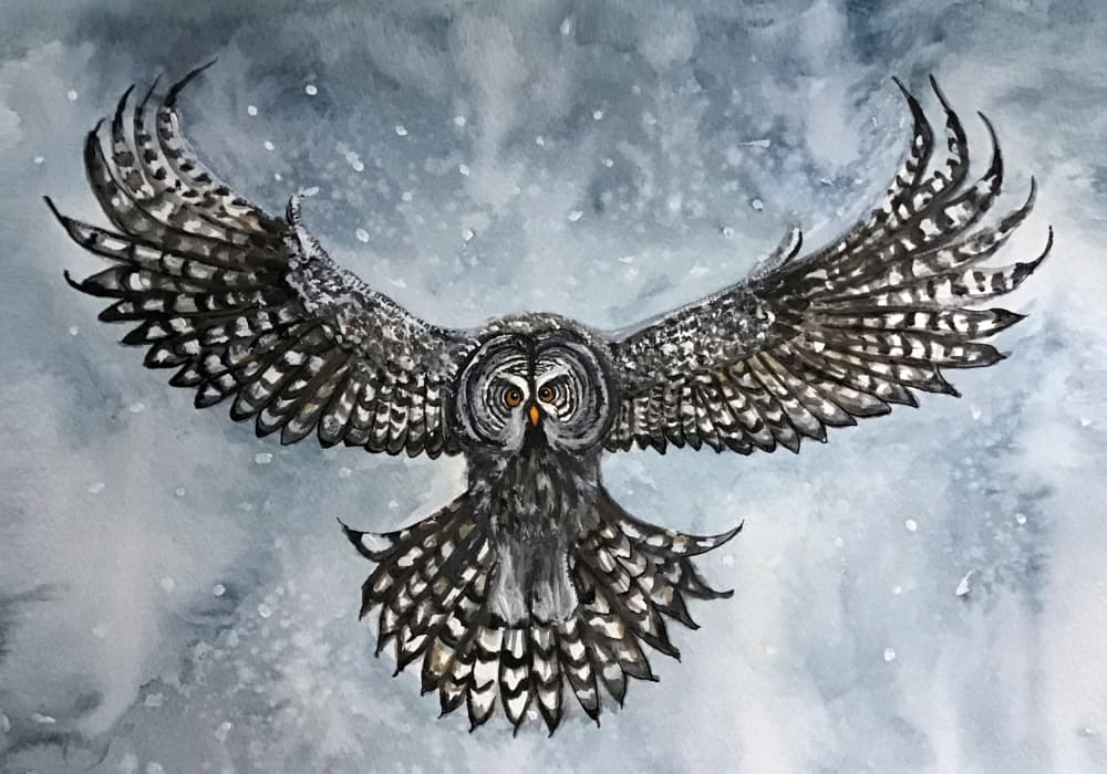Great Gray Owl Flight by Monica Lindblom — canvas wall art