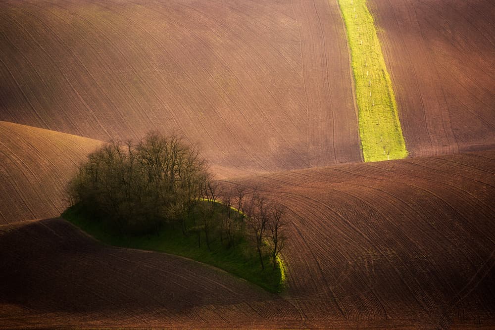 Rolling Fields Green Stripe by Tomasz Rojek — canvas wall art