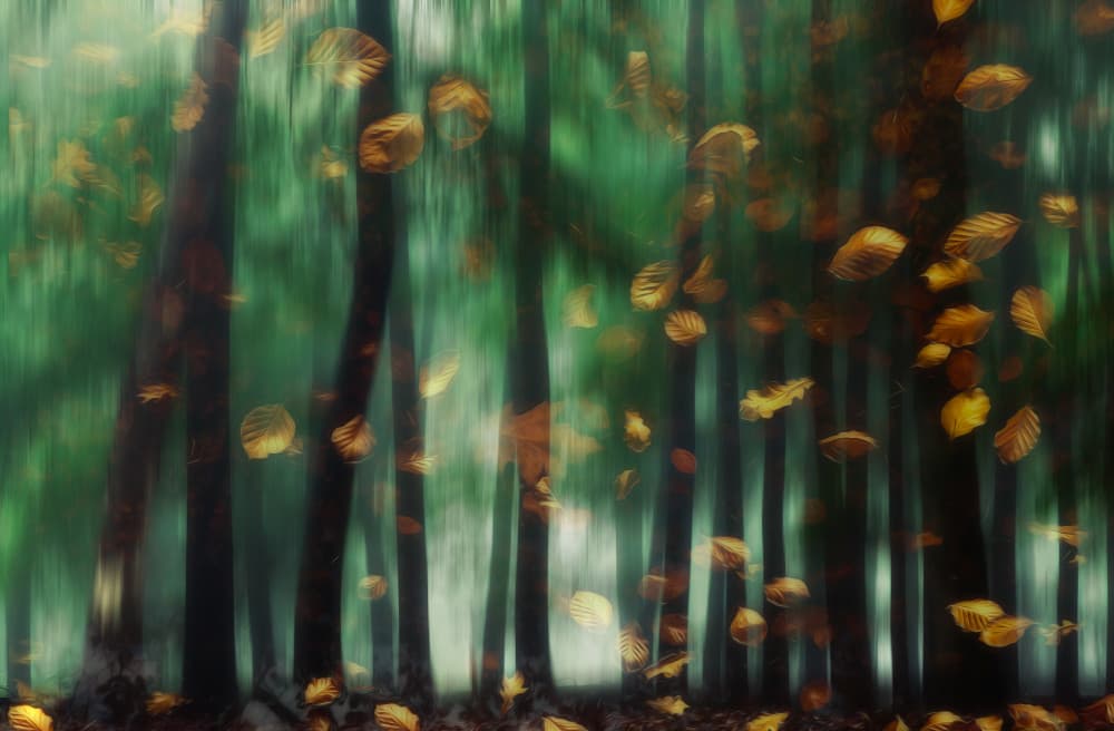 Autumn Leaves Motion by Hilda van der Lee — canvas wall art