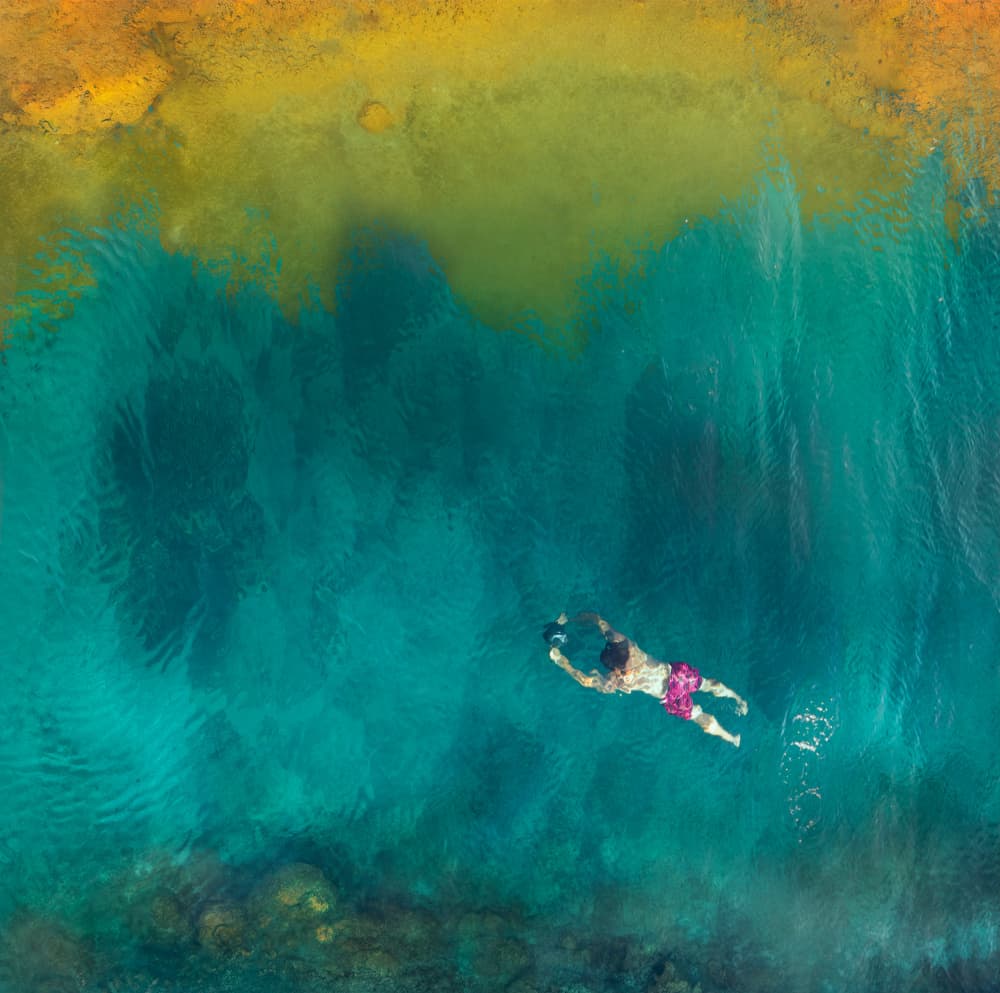 Aerial Ocean Swimmer by Shenshen Dou — canvas wall art