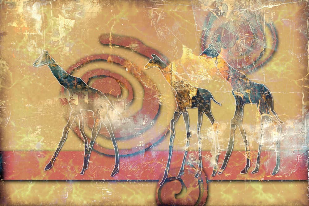 African Giraffes Spirals by Rafal Kulik — canvas wall art