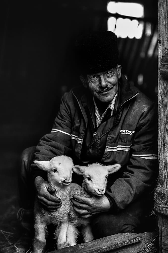 Smiling Farmer and Lambs by Eyal Amer — canvas wall art