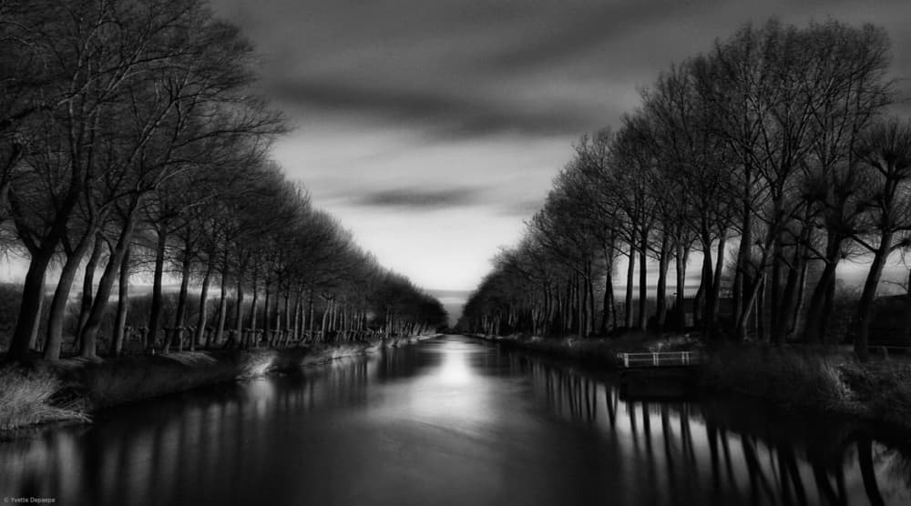 Ethereal Tree Lined Canal by Yvette Depaepe — canvas wall art