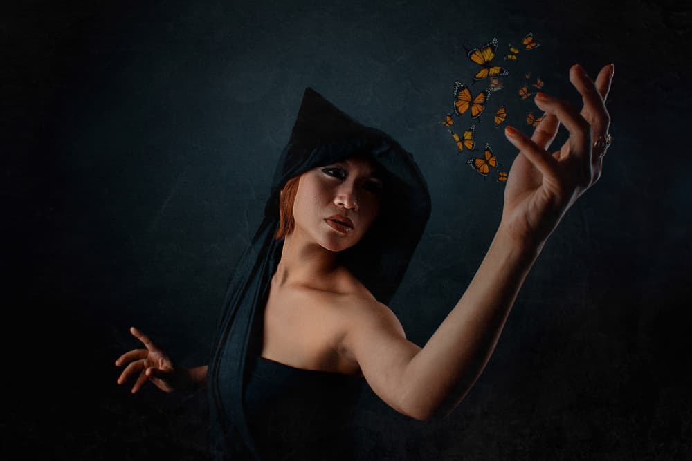Dark Enchantress Butterflies by Djayent Abdillah — canvas wall art