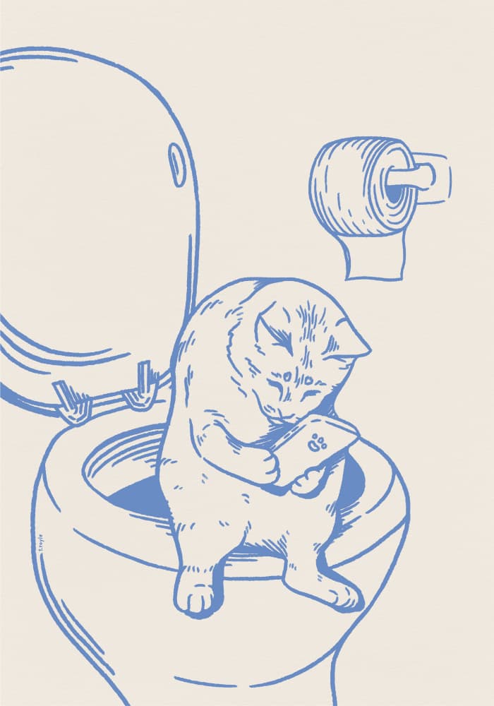 Smart Cat Toilet Time by Tara Royle — canvas wall art