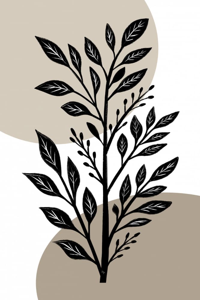 Modern Organic Plant by Martina — canvas wall art