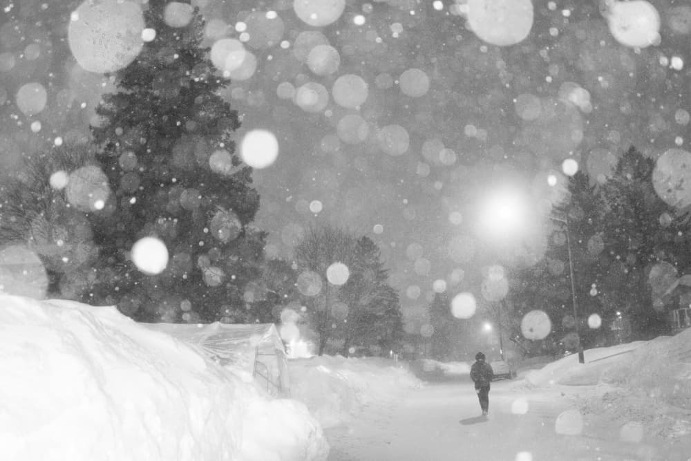 Snowy Night Walk by Michiko Ôtomo — canvas wall art