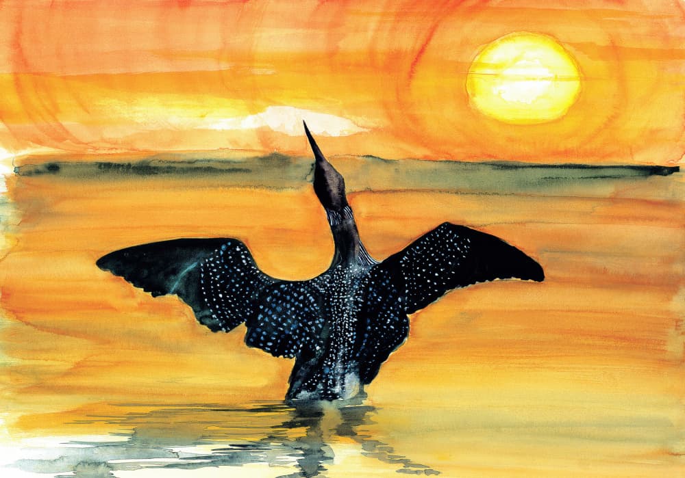 Vibrant Loon Sunset by RodMacIver — canvas wall art