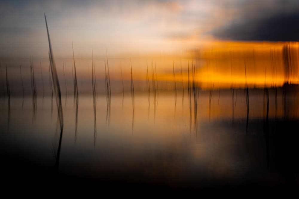 Serene Golden Poles by Franco Tessarolo — canvas wall art