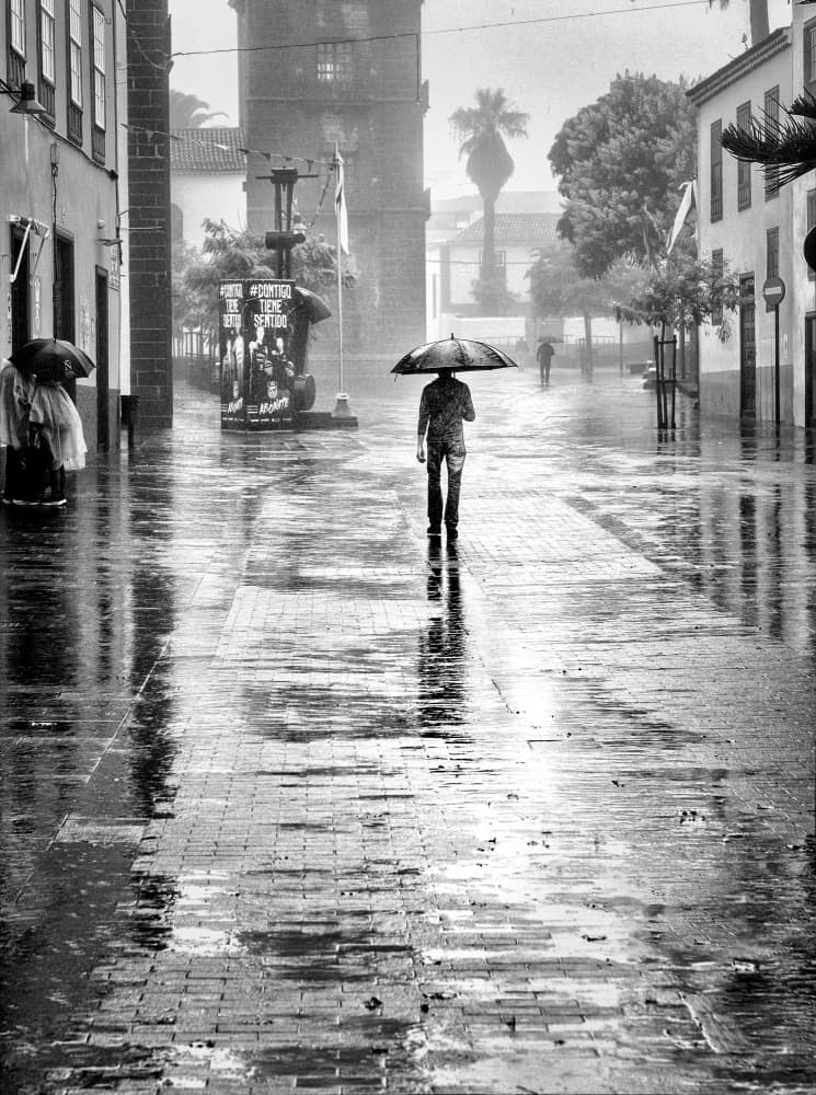 Rainy City Walk by Montserrat Alviani — canvas wall art