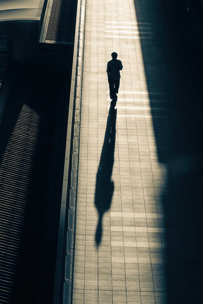 Path of Solitude by Haruyo Sakamoto — canvas wall art