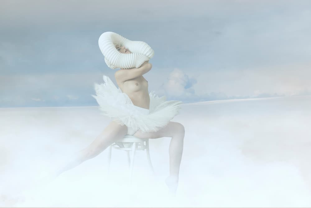 White Swan Ballerina Nude by Christine von Diepenbroek — canvas wall art