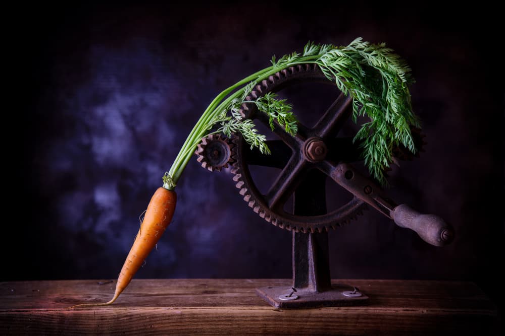 Carrot and Iron Gears by Felice Angelino — canvas wall art