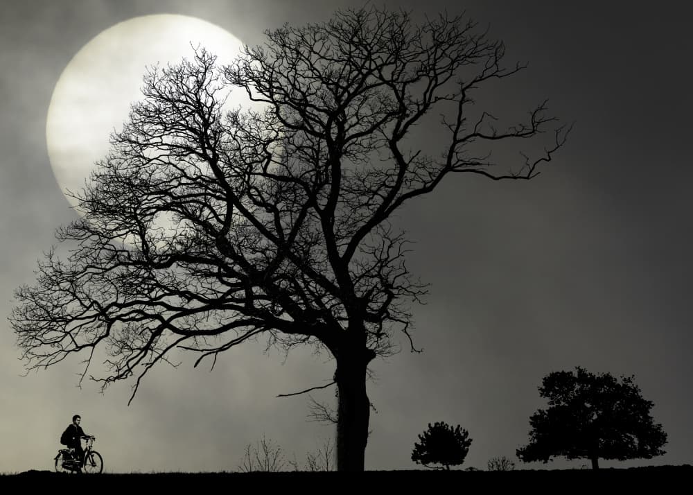 Dramatic Moonlit Ride by Marion Keijzer — canvas wall art