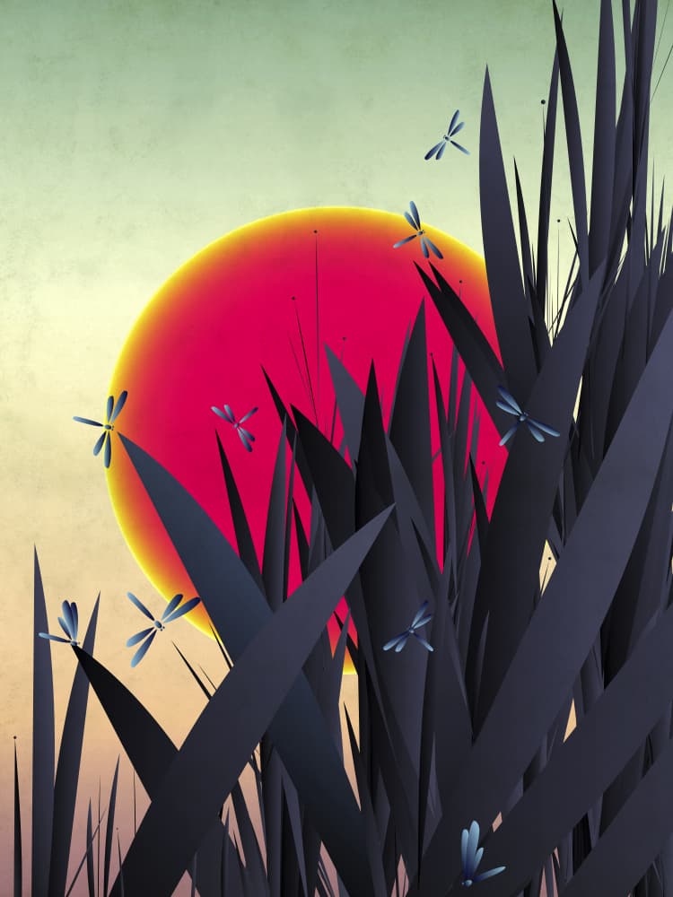 Dragonflies and Red Sun by Angelo Cerantola — canvas wall art