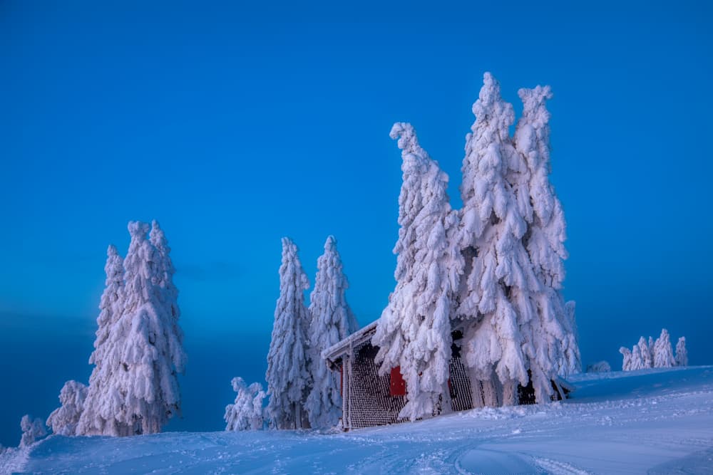 Serene Winter Cabin by Judith Kuhn — canvas wall art