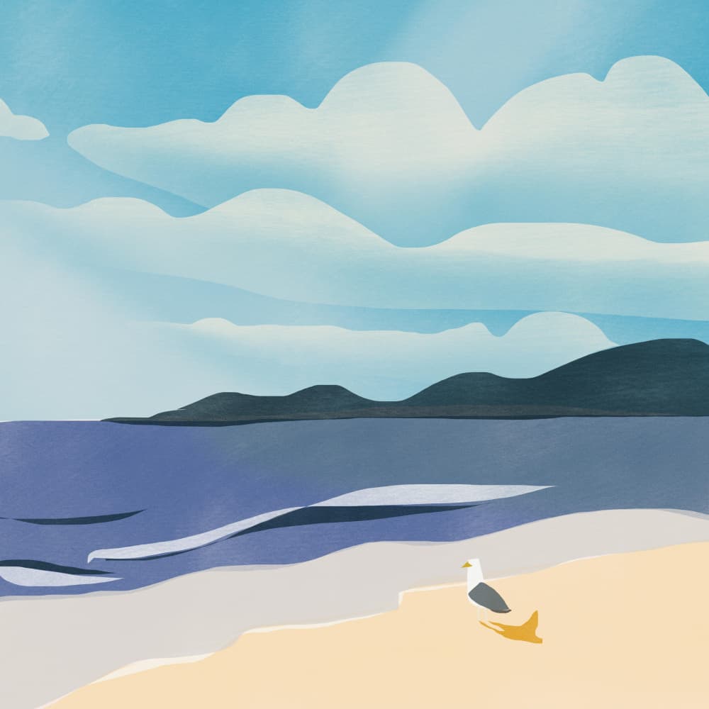 Seagull by the Shore by Little Dean — canvas wall art