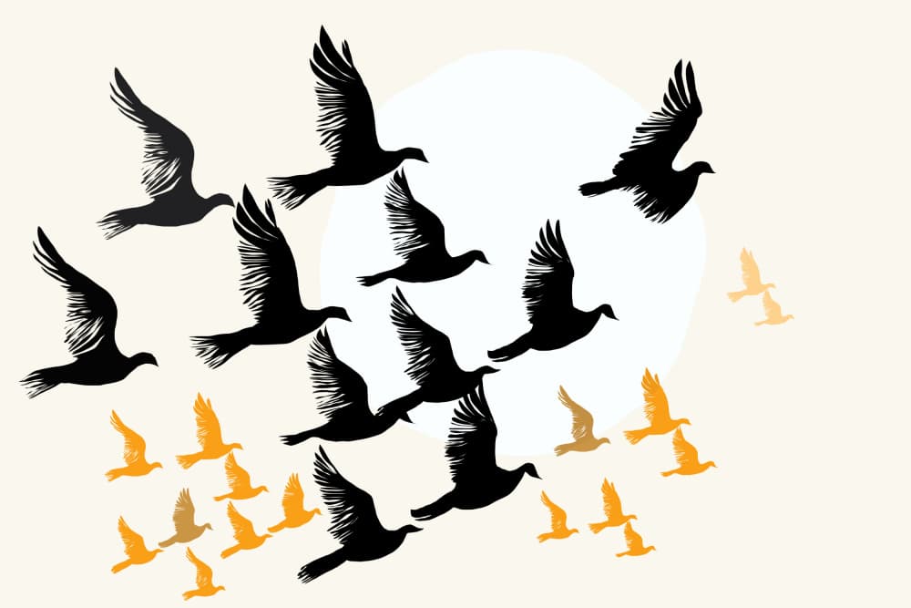 Soaring Peace Doves by cartissi — canvas wall art