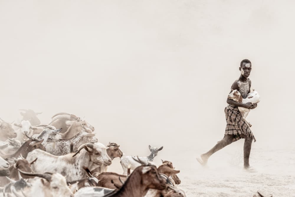 African Boy With Goats by Trevor Cole — canvas wall art