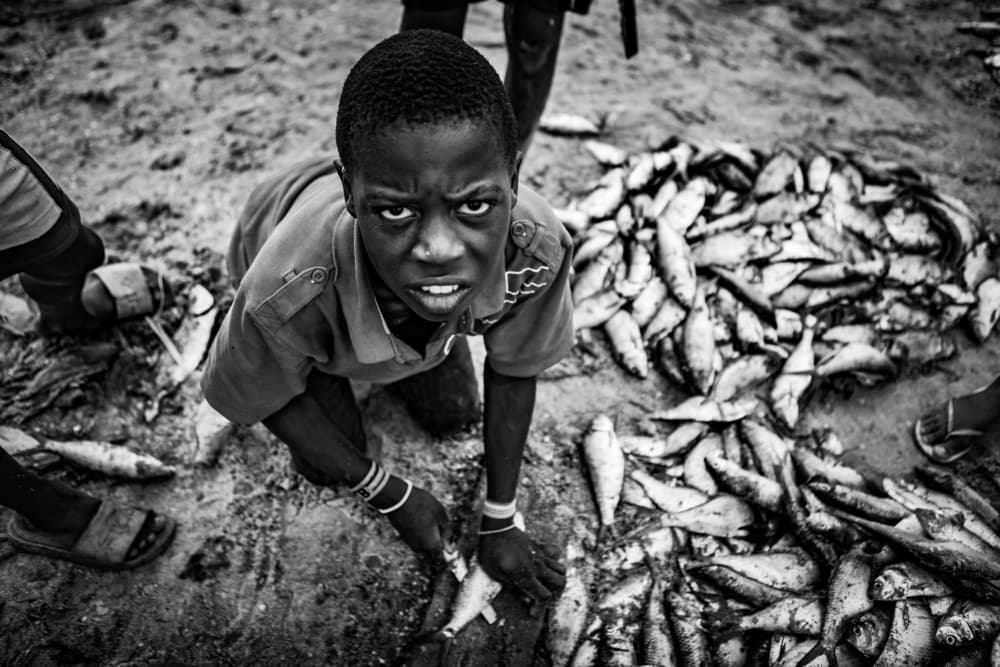 Intense Fishing Boy by João Coelho — canvas wall art