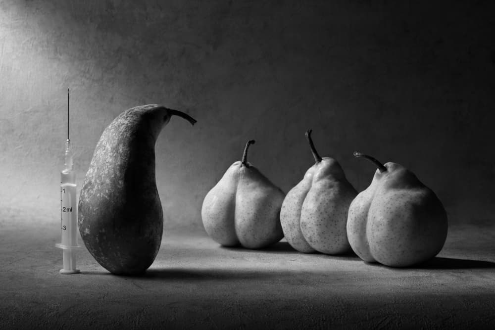 Genetic Pear Still Life by Victoria Glinka — canvas wall art