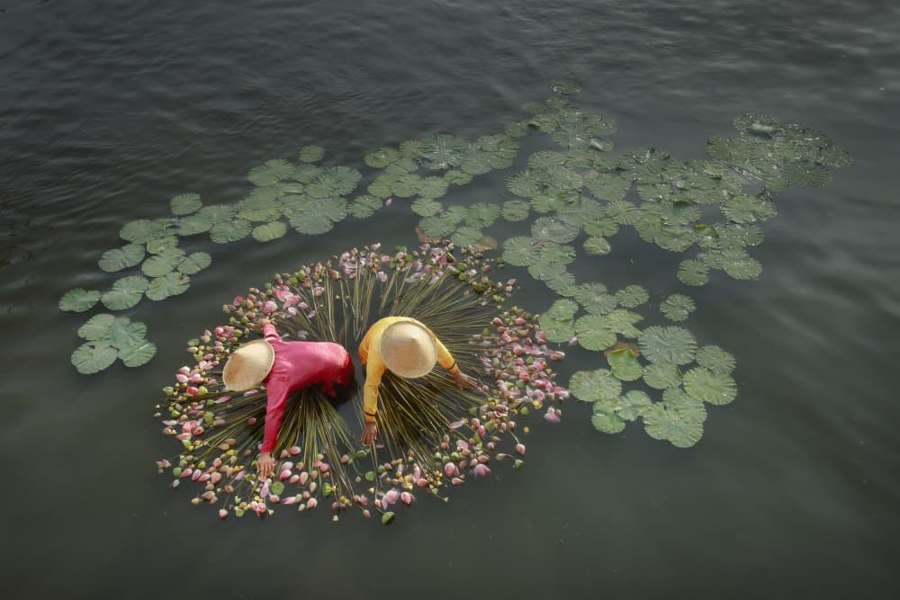 Lotus Harvest Gatherers by Gatot Herliyanto — canvas wall art