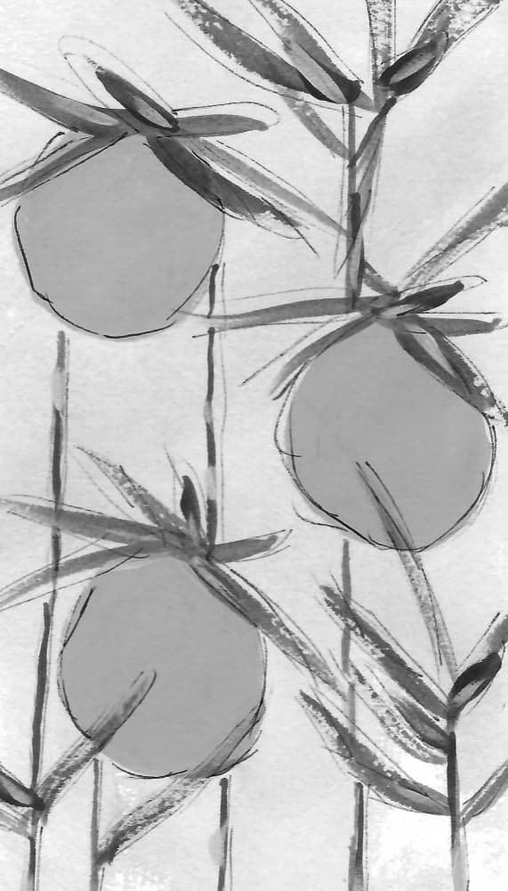 Organic Ink Botanicals by Lori Ann Folz — canvas wall art