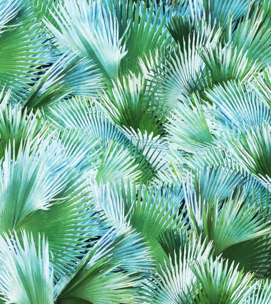 Blue Green Palm Leaves by Uma Gokhale — canvas wall art