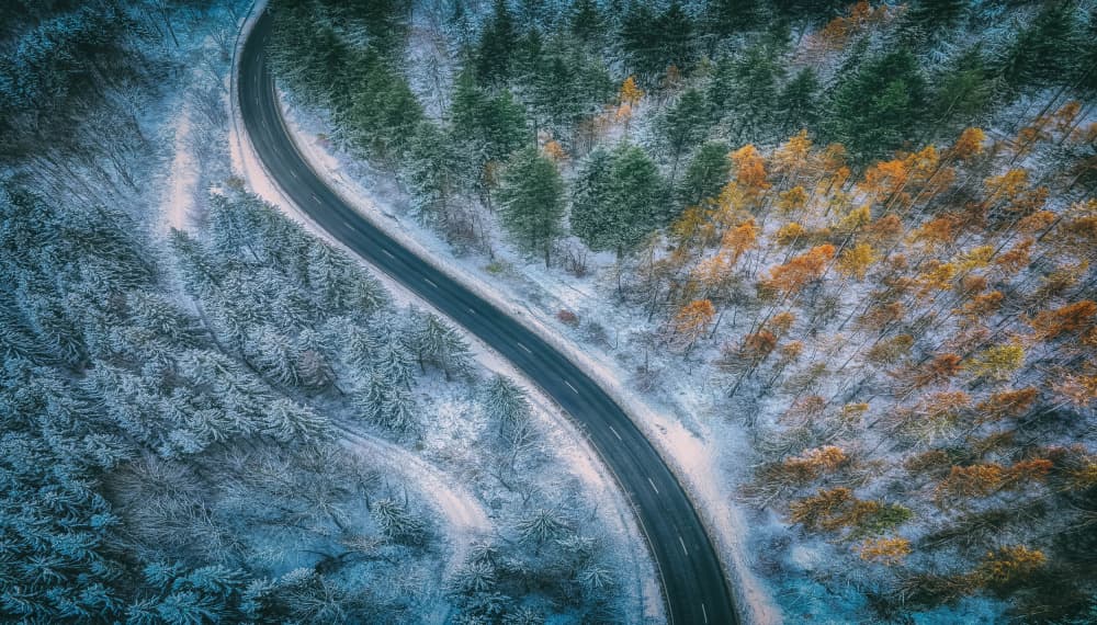 Winding Forest Seasons by Guy Krier — canvas wall art