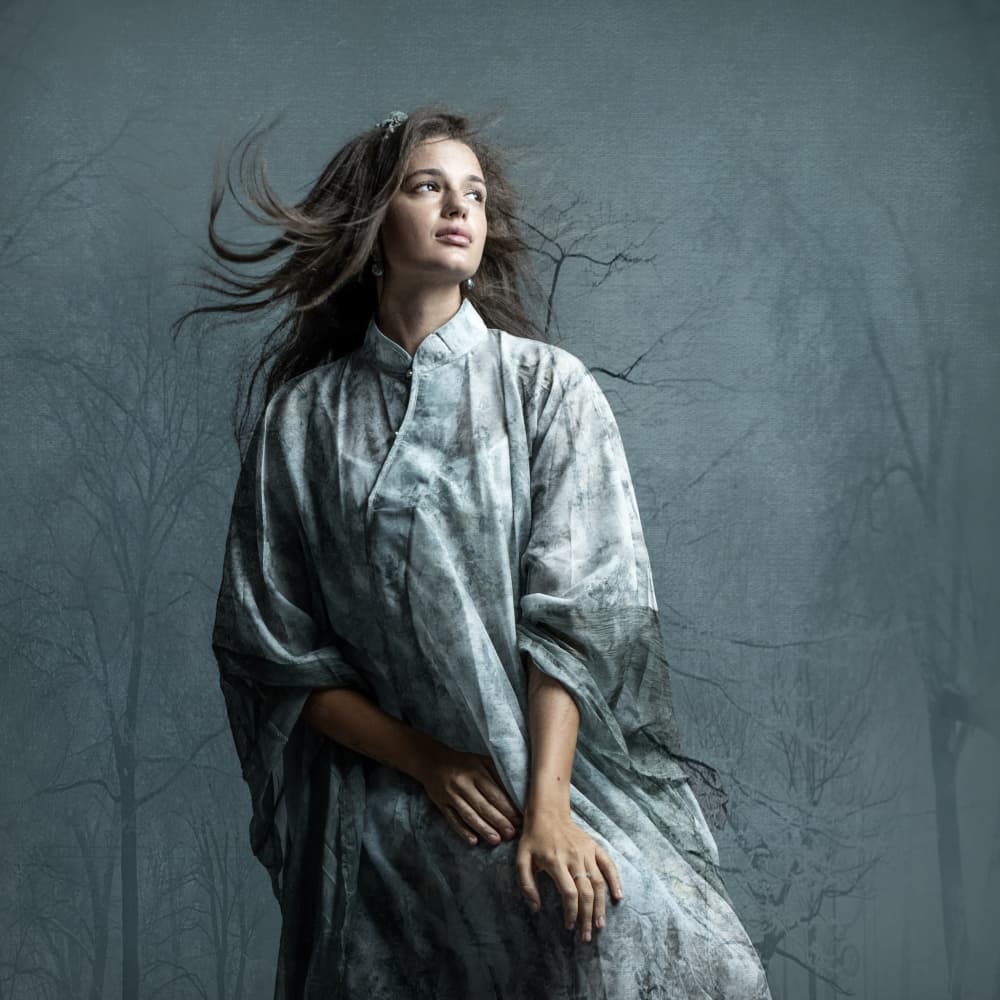 Woman In Misty Forest by Rachel Pansky — canvas wall art