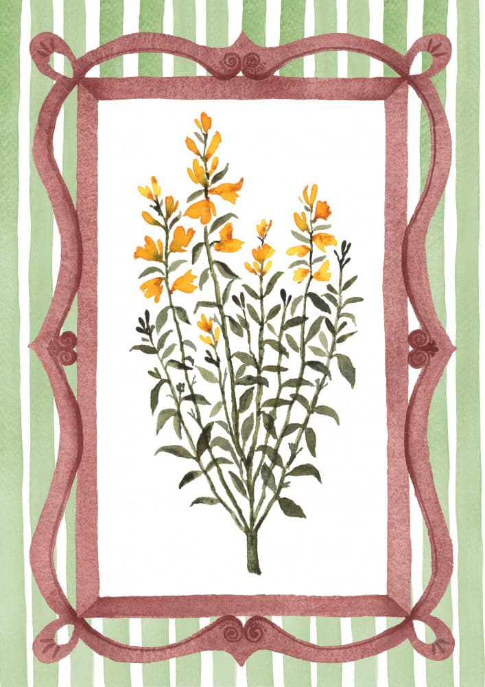 Yellow Flowers Striped Frame by Suchi Deb — canvas wall art