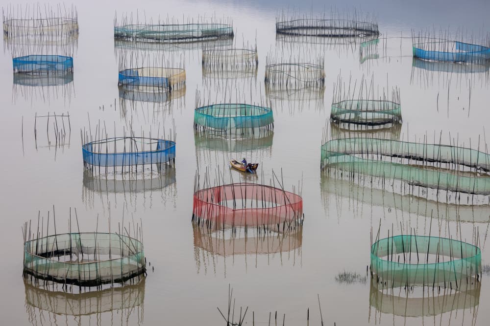Floating Fish Farm by Sally Widjaja — canvas wall art