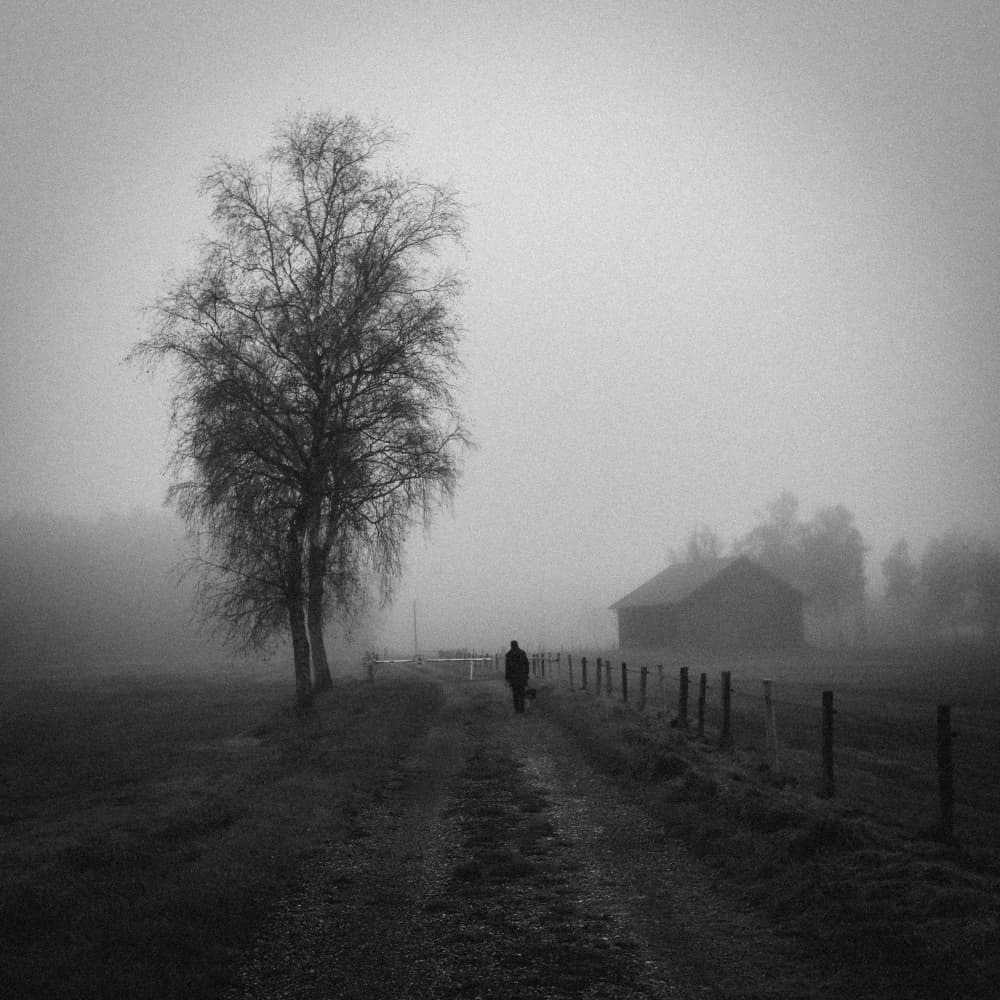 Man on a Misty Path by Renate Wasinger — canvas wall art