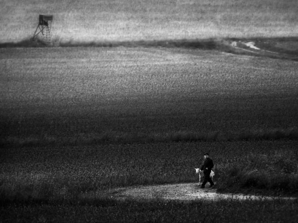 Man and Dog Field Walk by Holger Droste — canvas wall art