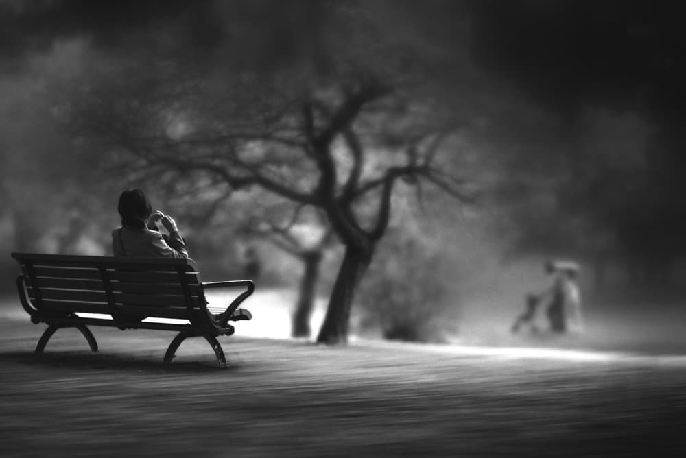 Lonely Park Bench by Teruhiko Tsuchida — canvas wall art