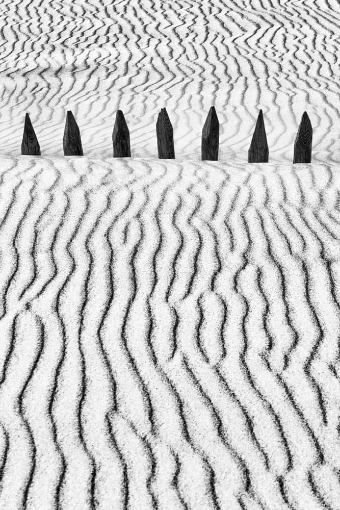 Dune Ripples and Posts by Paulo Abrantes — canvas wall art