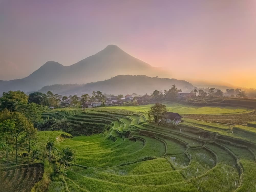 Misty Mountain Rice Fields by Yuan Su — canvas wall art