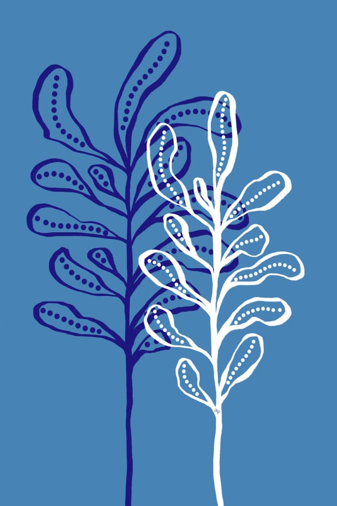 Oceanic Plant Forms by Martina — canvas wall art