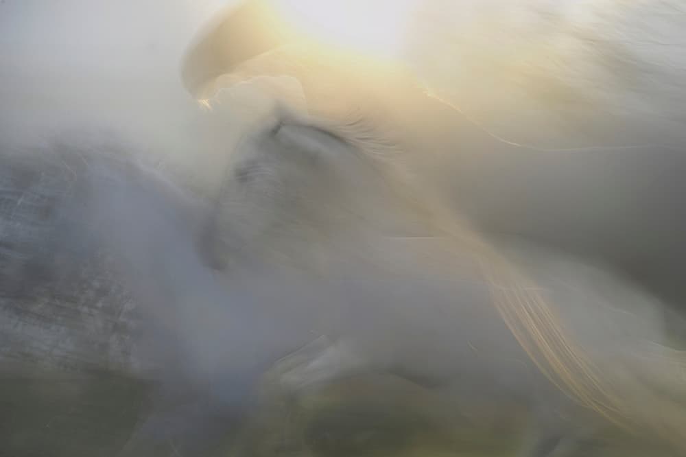 a dream by Milan Malovrh — canvas wall art