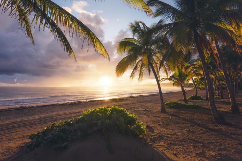 Good Morning Paradise by Stefan Hefele — canvas wall art