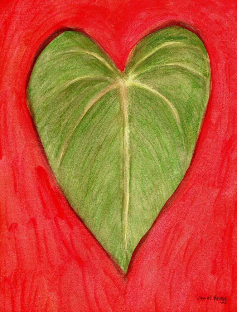 Leaf Heart In Green and Red by Janel Bragg — canvas wall art