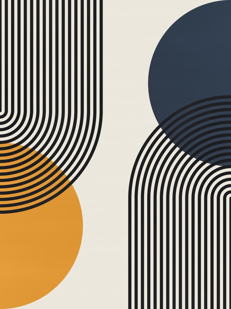 Geometric Curves and Circles by Vitor Costa — canvas wall art