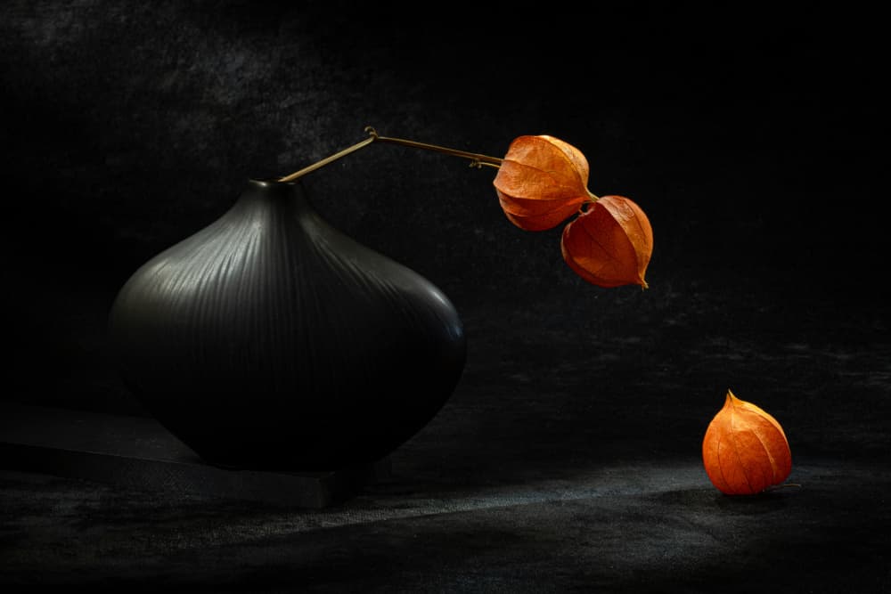 Black Vase Orange Lanterns by Igor Kopcev — canvas wall art